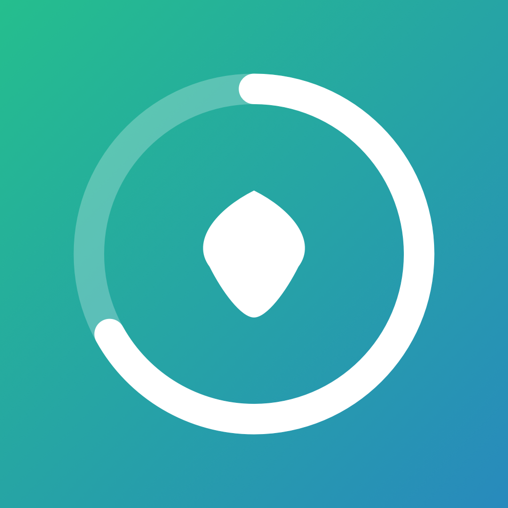 Fast Track Pro